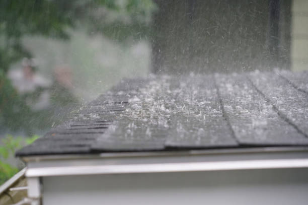 Best Roof Coating and Sealing  in Staunton, IL
